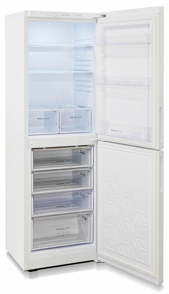 Холодильник Бирюса 6031 фото