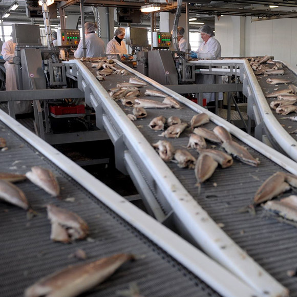 Что вы получаете