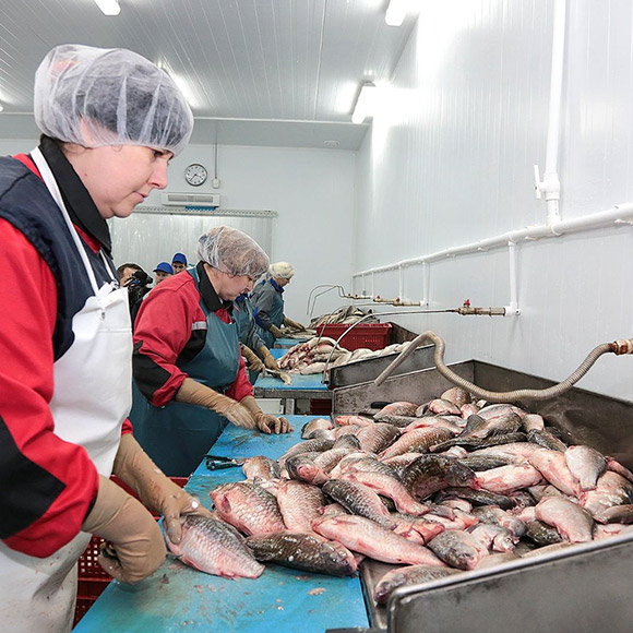 Требования