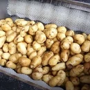 Запчасти для промышленных картофелечисток