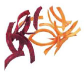 Диск соломка Vortmax H6 6х6мм в Москве , фото 1