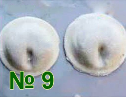 QT-100 №9 (медвежье ушко, 12-14гр) фото