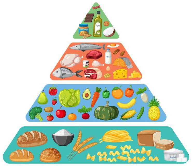 В США перевернули пирамиду питания!.jpeg