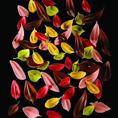 Лопаточка для работы с шоколадом Pavoni Лист L, нерж.сталь CH6 в Москве , фото 2