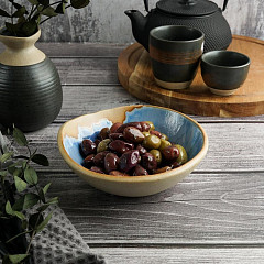 Салатник P.L. Proff Cuisine 300 мл 15,5*14,5 см h5,5 см Blue Panasia (81221964) в Москве , фото 1