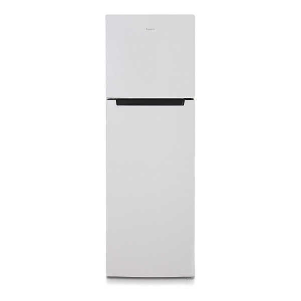 Холодильник Бирюса 6039 фото