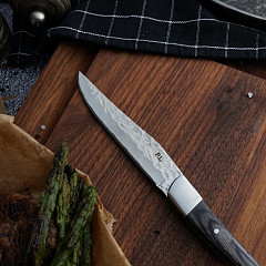 Нож для стейка P.L. Proff Cuisine 22,4 см Garwin Pakka Wood в Москве , фото 2