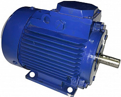 Двигатель Торгмаш Барановичи АИР М63В4У3 0,37/1500 d1=14мм d20=100мм IP54 МПР-350М-02 фото