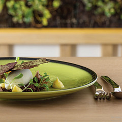 Блюдо овальное RAK Porcelain LEA Light green (зеленый цвет) 32 см в Москве , фото 6