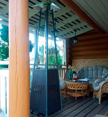 Уличный газовый обогреватель WWT 13I Wood в Москве , фото 2