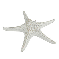 Блюдо для подачи P.L. Proff Cuisine 24 см h6 см Звезда Gray Starfish Frutti di Mare (81222311) в Москве , фото 3