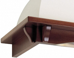 Пристенная вытяжка Falmec Iris Tulip 120 (600) S в Москве , фото 4