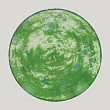 Тарелка круглая плоская  Peppery 24 см, зеленый цвет