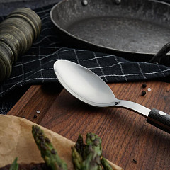 Ложка столовая P.L. Proff Cuisine 21,3 см Garwin Paris Pakka Wood в Москве , фото 3