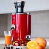 Соковыжималка Novissa Switzerland AG Vita Juicer красная фото