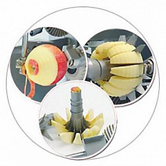 Овощерезка Roal RoalFruit RF10 в Москве , фото 2