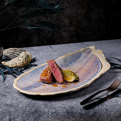 Блюдо овальное P.L. Proff Cuisine 51,8*23,5 см h3,5 см Light Purple Shell Northern Blue Frutti di Mare (81241255) в Москве , фото