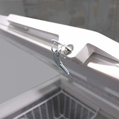 Морозильный ларь Aucma BD-390 в Москве , фото 2