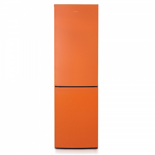 Холодильник Бирюса T6049 фото