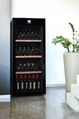 Мультитемпетарутный винный шкаф Avintage DVP180G в Москве , фото 3