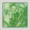 Тарелка квадратная плоская RAK Porcelain Peppery 25*25 см, зеленый цвет фото