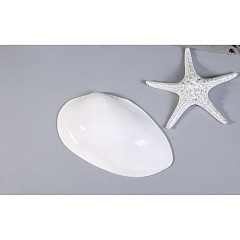 Блюдо овальное P.L. Proff Cuisine 32,5*20 см h6,5 см 100 мл Gray Shell Frutti di Mare (81241219) в Москве , фото 4