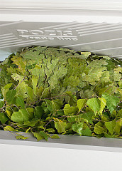 Морозильный ларь Pozis FH-255 в Москве , фото 3