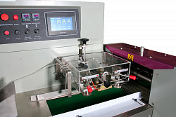 Сервоприводный горизонтальный упаковочный автомат Магикон 450AGXTS в Москве , фото 3