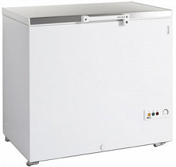 Морозильный ларь Tefcold FR305S в Москве , фото