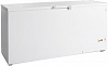 Морозильный ларь Tefcold FR605 фото
