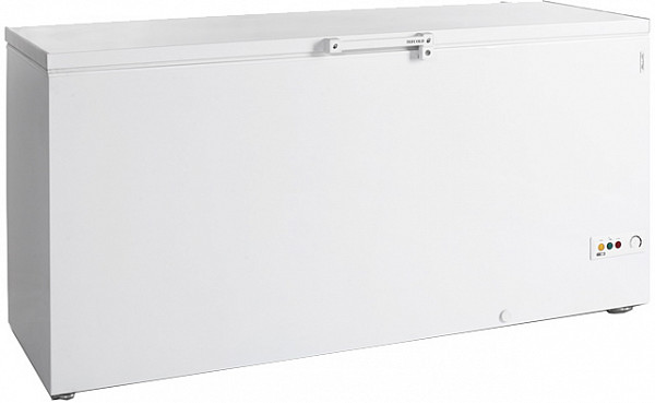 Морозильный ларь Tefcold FR605 фото