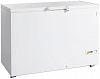 Морозильный ларь Tefcold FR405 фото