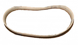 Ремень д/овощерезки Hurakan HKN-FNT ПОЗ.40 фото