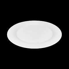 Тарелка с полями Sam and Squito Classic 12'' 300мм в Москве , фото 4