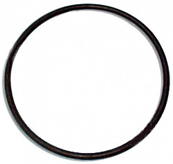 Кольцо Гродторгмаш 160-170 МПУ-700-01 фото