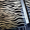 Пристенная вытяжка Falmec Mirabilia Zebra 67 фото