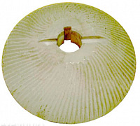 МИП 1.01.02 фото