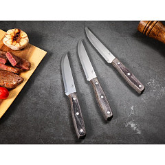 Нож для стейка P.L. Proff Cuisine 22,6 см Garwin Pakka Wood в Москве , фото 4