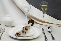 Бокал для коньяка Chef and Sommelier 390 мл Оупэн ап [1040904, E6686] в Москве , фото 2