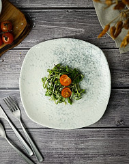 Тарелка квадратная Porland SMOKY 29 см (184429) в Москве , фото 1