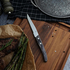 Нож для стейка P.L. Proff Cuisine 21,9 см Garwin Pakka Wood в Москве , фото 3