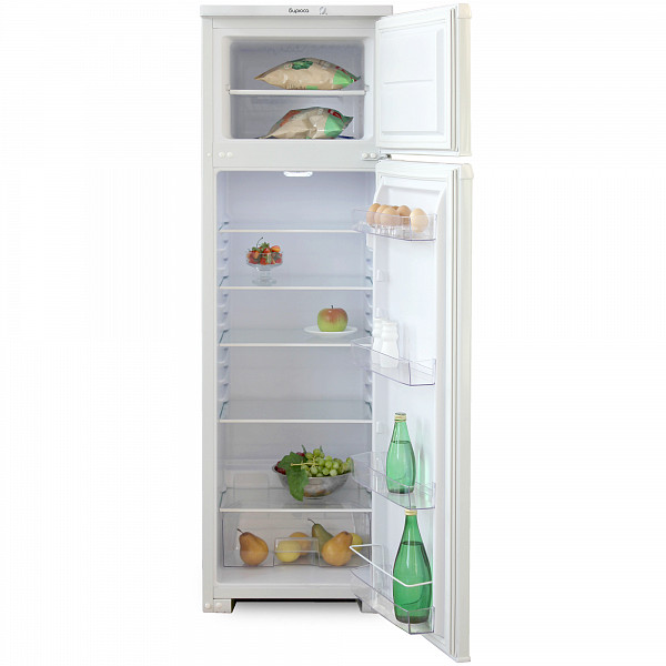 Холодильник Бирюса 124 фото