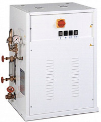 Парогенератор Ghidini (Италия) MAXI 24 в Москве , фото