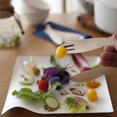 Тарелка одноразовая Garcia de Pou Bionic, японский дизайн Wasara 24,6*4(h) см, целлюлоза в Москве , фото 2