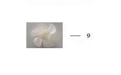 Крыльчатка мотора для сокоохладителя Hurakan 382986 фото