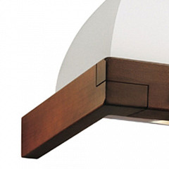 Пристенная вытяжка Falmec Iris Gardenia 60 (600) S в Москве , фото 2