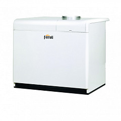 Газовый котел Ferroli PEGASUS F3 N 119 2S в Москве , фото