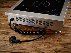 Индукционная плита iPlate NORA 3500 в Москве , фото 2