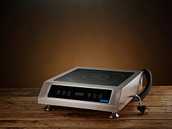 Индукционная плита безимпульсная iPlate 3500 ALINA в Москве , фото 6