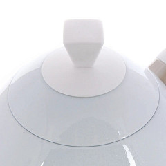 Чайник электрический Brewista Artisan Gooseneck 1L белый в Москве , фото 3